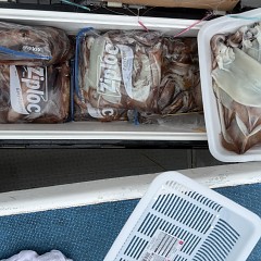 9月 3日（木）一日便・スルメイカ釣りの写真その7