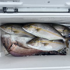 9月3日（木）午前便・タテ釣りの写真その2