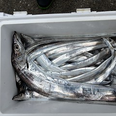 9月12日（土）午前便・タチウオ釣りの写真その9