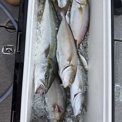 9月12日（土）午後便・タテ釣りの写真その12