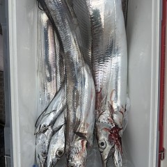 9月 13日（日）午前便・タチウオ釣りの写真その10