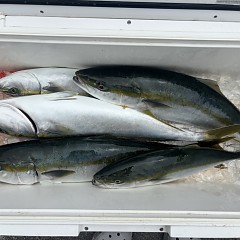 9月13日（日）午前・午後便・タテ釣りの写真その12