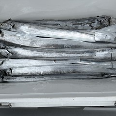 9月14日(月)午前便・タチウオ釣りの写真その5