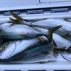 9月14日（月）午後便・タテ釣りの写真その8