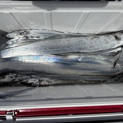 9月17日（木）午前便・タチウオ釣りの写真その7