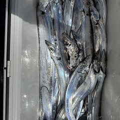 9月17日（木）午前便・タチウオ釣りの写真その10
