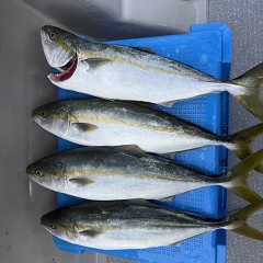 9月18日（金）午前便・タテ釣りの写真その8