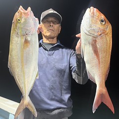 9月 22日（火）午後便・ウタセ真鯛の写真その6