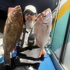 9月 23日（水）午後便・ウタセ真鯛の写真その4