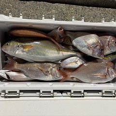 9月23日（水）午後便・ウタセマダイ釣りの写真その1