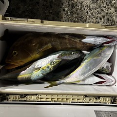 9月23日（水）午後便・ウタセマダイ釣りの写真その5