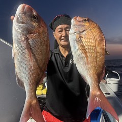 9月 24日（木）午後便・ウタセ真鯛の写真その2