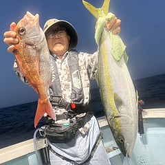 9月 24日（木）午後便・ウタセ真鯛の写真その5