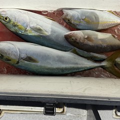 9月 24日（木）午前便・タテ釣りの写真その9