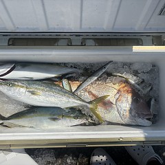 9月 24日（木）午前便・タテ釣りの写真その12