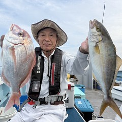 9月 25日（金）午後便・ウタセ真鯛の写真その1