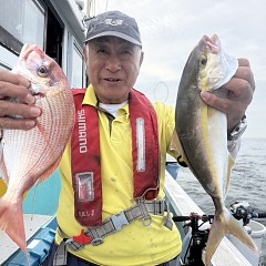 9月 25日（金）午後便・ウタセ真鯛の写真その3