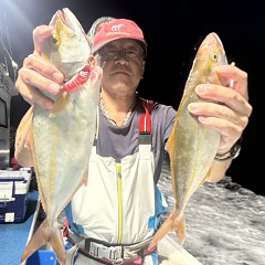 9月 25日（金）午後便・ウタセ真鯛の写真その4