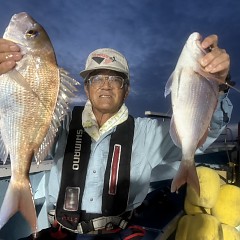 9月 25日（金）午後便・ウタセ真鯛の写真その5