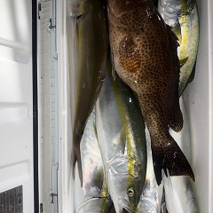 9月 25日（金）午後便・ウタセ真鯛の写真その9