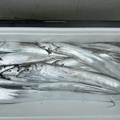 9月 26日（土）午前便・タチウオ釣りの写真その11