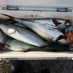 9月26日（土）午後便・タテ釣りの写真その7