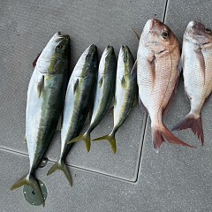 9月26日（土）午前便・タテ釣りの写真その9