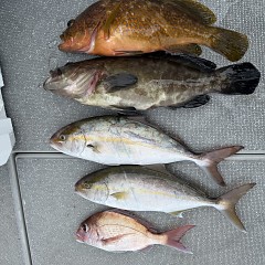 9月26日（土）午前便・タテ釣りの写真その10