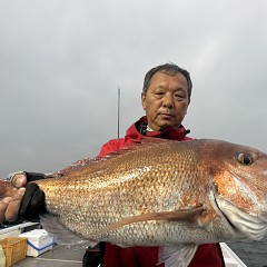 9月 26日（土）午後便・ウタセ真鯛の写真その1