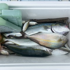 9月27日（日）午前便・タテ釣りの写真その2