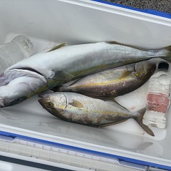 9月27日（日）午前便・タテ釣りの写真その4