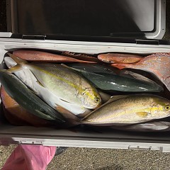 9月27日（日）午後便・ウタセマダイ釣りの写真その4