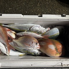 9月27日（日）午後便・ウタセマダイ釣りの写真その7