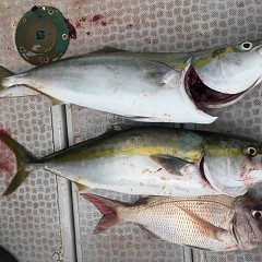9月 28日（月） 午前便・タテ釣りの写真その6