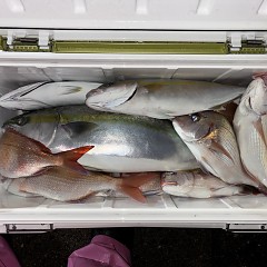 9月29日（火）午後便・ウタセマダイ釣りの写真その2