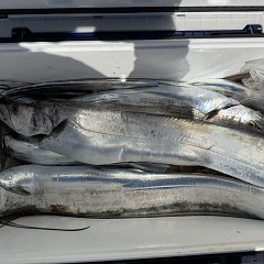10月 2日（金）午前便・タチウオ釣りの写真その12