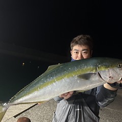 10月 2日（土）午後便・ウタセ真鯛の写真その1