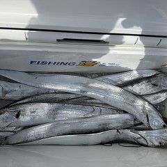 10月 3日（土）午前便・タチウオ釣りの写真その8