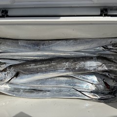 10月 3日（土）午前便・タチウオ釣りの写真その11