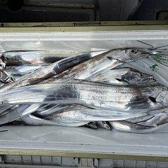 10月 4日（日）午前便・タチウオ釣りの写真その5