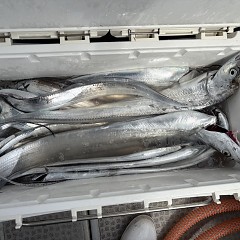 10月 4日（日）午前便・タチウオ釣りの写真その6