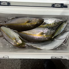 10月3日（土）午後便・タテ釣りの写真その9