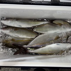 10月3日（土）午後便・タテ釣りの写真その10