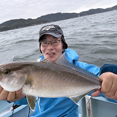 10月 4日（日）午後便・ウタセ真鯛の写真その5