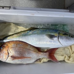 10月4日（日）午前便・タテ釣りの写真その4