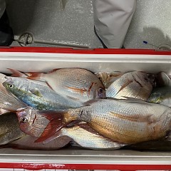 10月4日（日）午後便・ウタセマダイ釣りの写真その6