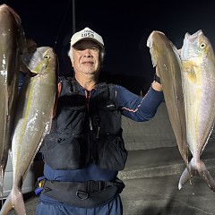 10月 8日（木）午後便・ウタセ真鯛の写真その3