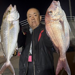 10月 8日（木）午後便・ウタセ真鯛の写真その5