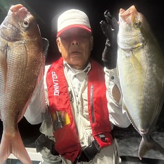 10月 8日（木）午後便・ウタセ真鯛の写真その6