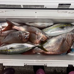 10月9日（金）午後便・ウタセマダイ釣りの写真その2